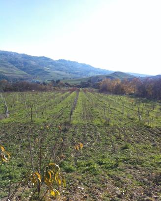 Terreno agricolo a Ciminna