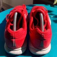 scarpe nike zoom pegasus