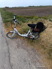 Bicicletta elettrica Pieghevole 