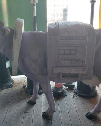 MUCCA SLOT MACHINE