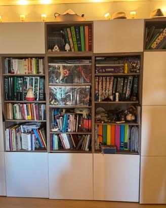 Grande libreria IKEA 300×230 cm