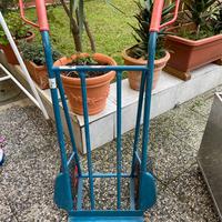 Carrello porta pacchi ho altro