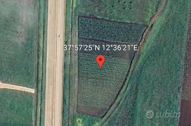 Terreno agricolo a Paceco