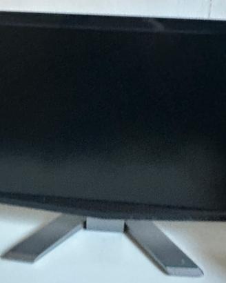 Monitor Acer P191W - 19” Wide 16:10 VGA DVI