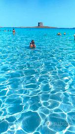 Casa vacanze mare Stintino