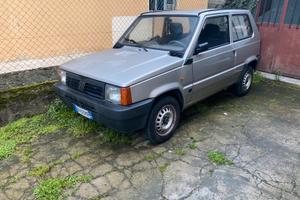 Panda 1100