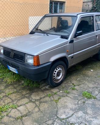 Panda 1100