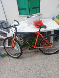 bicicletta 