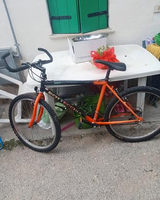 bicicletta 