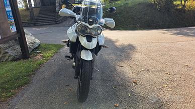 Tiger 800