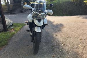 Tiger 800