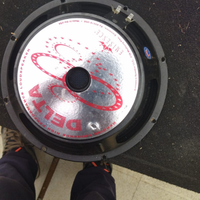 Altoparlante eminence delta 10A 8 ohm