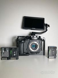 Lumix GH5 con cage