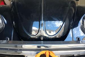 Volkswagen Maggiolino