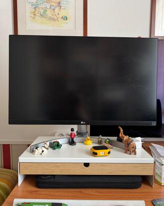 Monitor lg 27 pollici 4K