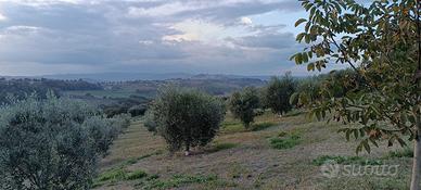 Terreno con progetto approvato a Collevalenza