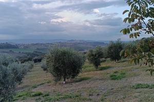 Terreno con progetto approvato a Collevalenza