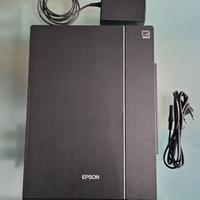 Epson Perfection V33