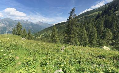 6 baite in Paradiso Valle d'aosta