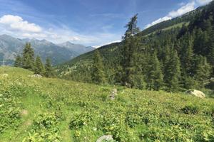 6 baite in Paradiso Valle d'aosta