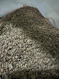 Nocciolo di oliva ventilato in sacchi €.4 a sacco