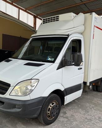 Mercedes Benz Sprinter 416 CDI Gemellato Frigo -20