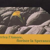 Scheda telefonica tiratura limitata