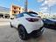 Immagine 12