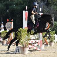 Pony da salto e dressage - vendita