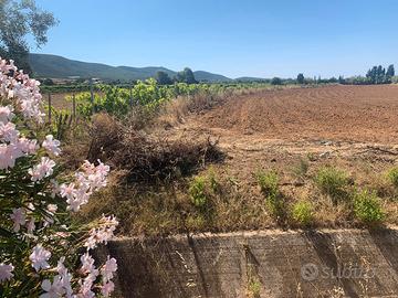 Terreno agricolo fertile e irrigato - mare servizi