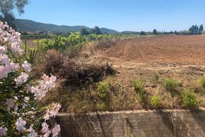 Terreno agricolo fertile e irrigato - mare servizi