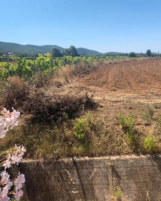 Terreno agricolo fertile e irrigato - mare servizi