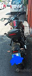 SPLENDIDA VOGE 300