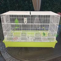 Gabbia cova 65 ,  voliera  per uccelli Nuova!