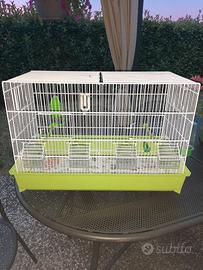 Gabbia cova 65 ,  voliera  per uccelli Nuova!