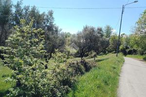 TER. RESIDENZIALE A MARANO MARCHESATO