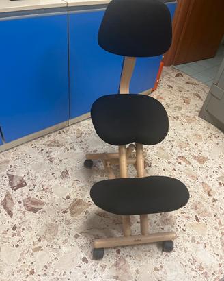 Sedia ergonomica