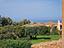 Immagine 24