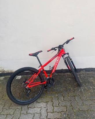 MOUNTAIN BIKE RAGAZZO 