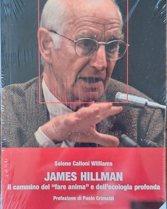 JAMES HILLMAN - IL CAMMINO DEL "FARE ANIMA"E DELL