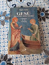 Gesù destino dell'uomo. Cammino di vita cristiana