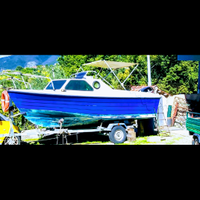 Gobbi in VTR semicabinato + motore Mercury 40 60