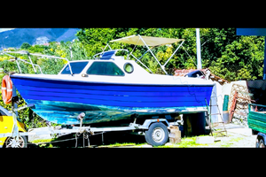 Gobbi in VTR semicabinato + motore Mercury 40 60