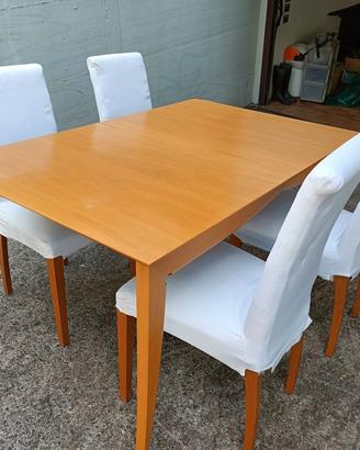 Tavolo e sedie Calligaris + Tappeto Shagy gratis