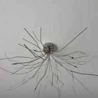 LAMPADARIO SAGGINA 6