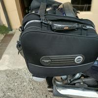 Borse givi scarabeo