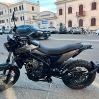 Beta Alp X - con un anno di vita