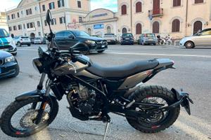 Beta Alp X - con un anno di vita