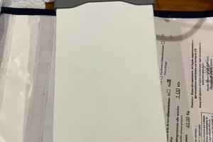 Caricabatteria Quick SBC 250 NRG + FR