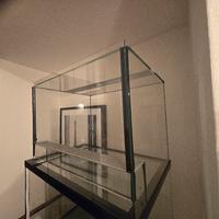 terrario, teca per rettili